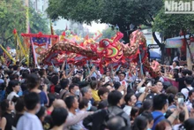 热闹非凡的胡志明市元宵节【组图】