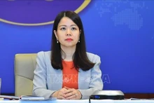 越南外交部部长助理阮明姮。（图片来源：越通社）