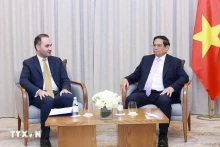 越南政府总理范明正会见JTA国际咨询投资集团首席执行官萨勒米（Amir Ali Salemi）。（图片来源：越通社）