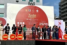 “2024年越南春节——家乡之春”文化节在日本兵库县尼崎市开幕。