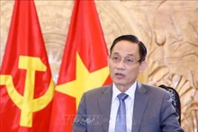 越共中央对外部部长黎怀忠。（图片来源：越通社）