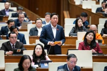 宁顺省国会代表陈国南发表讲话。