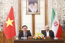 越南国会主席王廷惠与伊朗议会议长卡利巴夫共见记者。