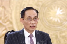 越共中央对外部部长黎怀忠。（图片来源：越通社）