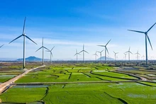 附图。