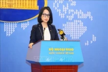  越南外交部发言人范秋姮。（图片来源：越通社）