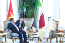 政府总理范明正会见卡塔尔国王塔米姆。