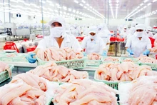 梅星集团的查鱼加工。