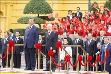 中共中央总书记、中国国家主席习近平于12月12日至13日对越南进行国事访问。