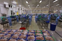 安江九龙进出口股份公司查鱼加工链。