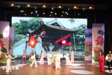 2024年越南文化周期间举行的文艺节目。