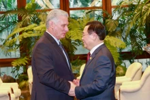 越南国会主席王廷惠会见劳尔·卡斯特罗大将和古共中央第一书记、国家主席米格尔·迪亚斯-卡内尔【组图】