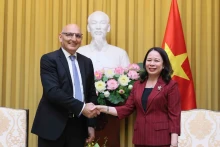 越南国家副主席武氏映春会见了来访的阿塞拜疆总统特派员叶利钦·阿米尔巴约夫。