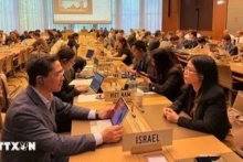 越南参加世贸组织补贴与反补贴、反倾销和保障措施委员会例会。