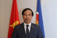 越南驻卡塔尔大使阮辉侠。