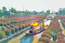 2025年沙沥市春季花卉节吸引了许多游客前来参观游览。
