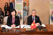 越南国会对外委员会副主任敦俊峰率领越南国会代表团出席会议。（图片来源：越通社）