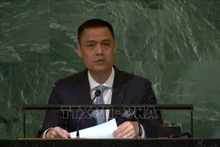 越南驻联合国代表团团长邓黄江大使。