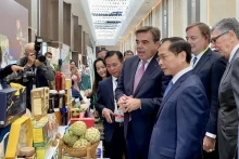 政府副总理兼外交部长裴青山参观越南展位。
