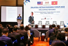 马来西亚总理安瓦尔·易卜拉欣在越南与马来西亚企业论坛上发言。
