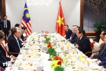 越南政府总理范明正与马来西亚总理安瓦尔·易卜拉欣共进工作早餐。（图片来源：越通社）