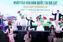 越韩艺术文化交流晚会在大叻市火热开演【组图】