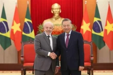 越共中央总书记苏会见巴西总统卢拉·达席尔瓦。