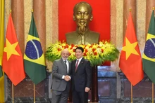 越南国家主席梁强与巴西总统卢拉·达席尔瓦举行会谈【组图】