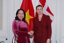 越南国家副主席武氏映春会见丹麦首相梅特·弗雷泽里克森。