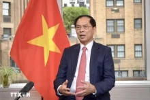 越南政府副总理兼外交部长裴青山。