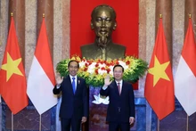 越南国家主席武文赏与印度尼西亚总统佐科·维多多。（图片来源：越通社）