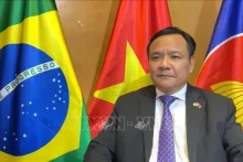 越南驻巴西大使裴文毅。（图片来源：越通社）