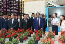国会主席王廷惠参观中国云南省云天化绿色农业高新技术产业示范项目。