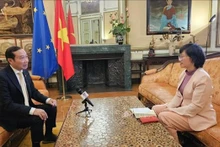 越南驻比利时兼驻卢森堡大公国大使、越南常驻驻欧盟代表团团长阮文草回答记者的采访。
