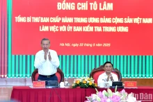 越共中央总书记苏林与越共中央检查委员会举行工作会议。（登科 摄）