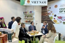 越南驻意大利大使杨海兴与意大利果蔬展览会主席伦佐·皮拉奇尼在越南展位直接交谈。（图片来源：越通社） 