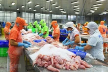 越南充分利用优势增加对加拿大市场的出口