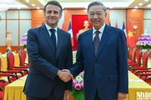 越共中央总书记苏林会见法国总统马克龙。（陈海 摄）