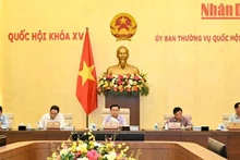 越南国会主席王廷惠和各位国会副主席出席会议。（维玲 摄）