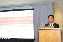 越南工贸部长阮鸿延在会上发表讲话。