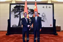 越南国家主席武文赏会见中国全国人大常委会委员长赵乐际。（图片来源：越通社）