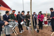 越共中央书记处常务书记武文赏出席兴安省植树节启动仪式。