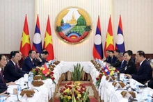 武文赏主席与老挝总理举行会晤。