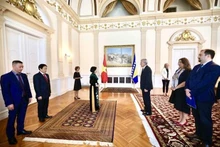 越南驻匈牙利兼驻波斯尼亚-黑塞哥维那大使阮氏碧草向波黑主席团轮值主席舍菲克·扎费罗维奇递交国书。