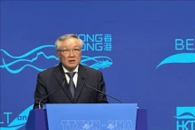 越南政府常务副总理阮和平在论坛上发表讲话。（图片来源：越通社）
