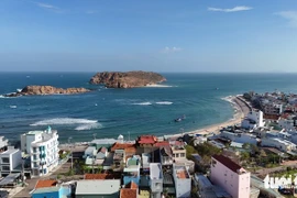 嘉莱省归仁东坊一角。（图片来源：tuoitre.vn）