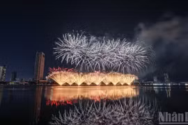 烟花点燃岘港天空。