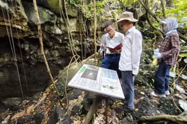 越南联合国教科文组织世界地质公园网络主席陈新文对火山洞穴系统进行考察。（图片来源：dantocmiennui.baotintuc.vn）