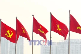 越南共产党第十四次全国代表大会成功召开提振民众信心【视频】