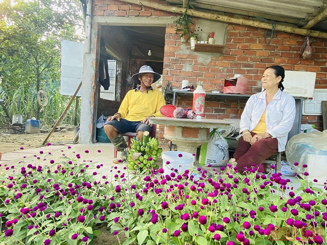 城市中心的“游牧”生活（组图） ảnh 6